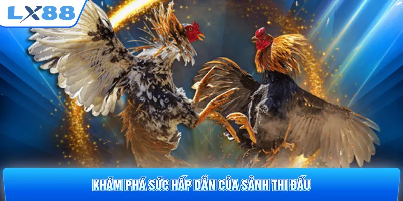 Khám phá sức hấp dẫn của sảnh thi đấu