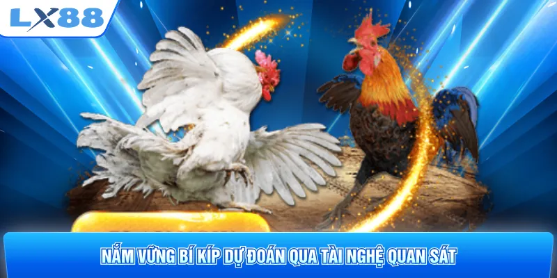 Nắm vững bí kíp dự đoán qua tài nghệ quan sát
