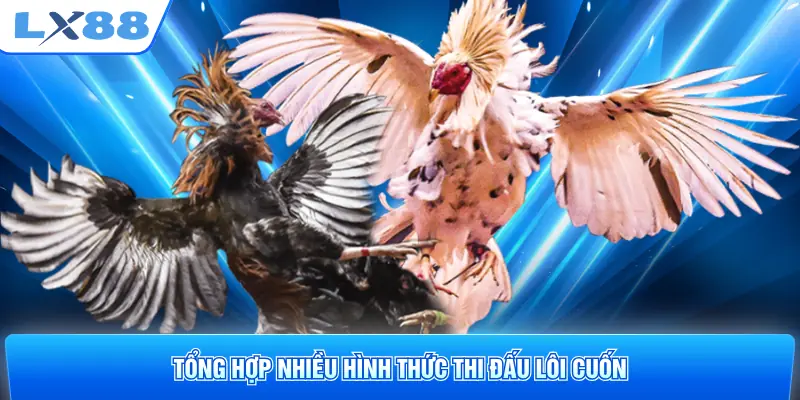 Tổng hợp nhiều hình thức thi đấu lôi cuốn
